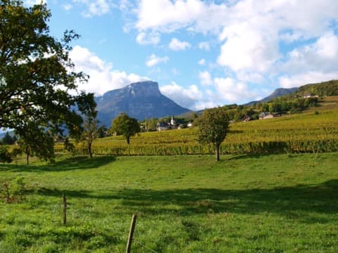 Élagueur Apremont