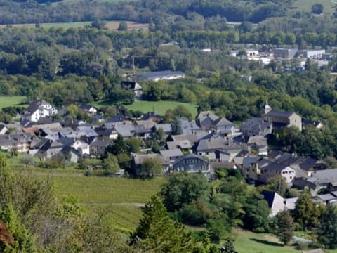 Élagueur Arbin