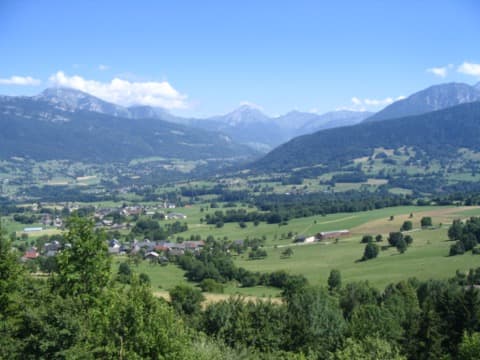 Élagueur Arith