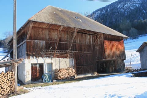 Élagueur Bellecombe-en-Bauges