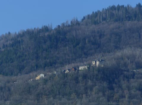 Élagueur Bonvillaret