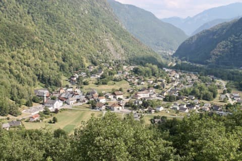 Élagueur Cevins