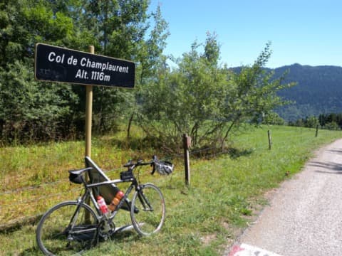 Élagueur Champ-Laurent