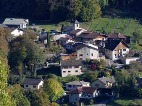 Élagueur Détrier