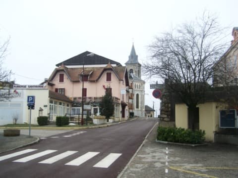 Élagueur Domessin