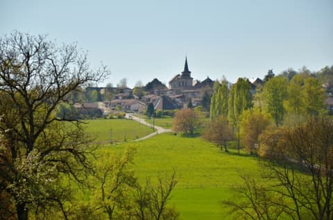 Élagueur Dullin