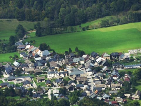 Élagueur École
