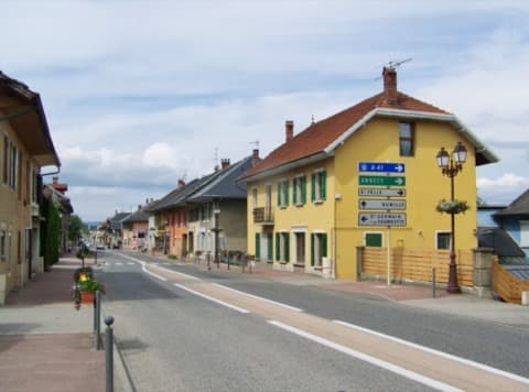 Élagueur Entrelacs