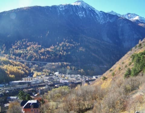Élagueur Fourneaux