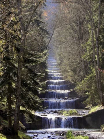 Élagueur Grand-Aigueblanche