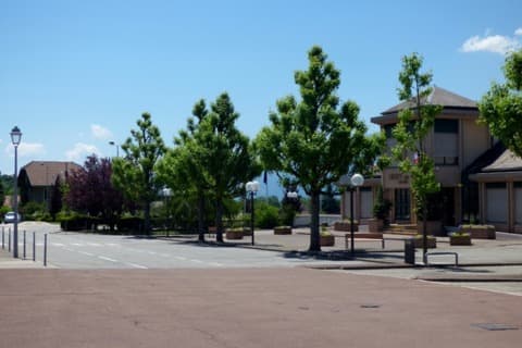 Élagueur Grésy-sur-Aix