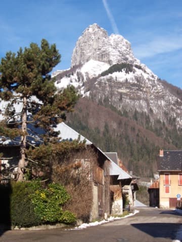 Élagueur Jarsy