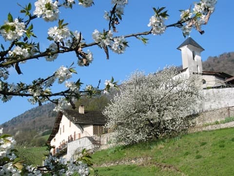 Élagueur La Croix-de-la-Rochette