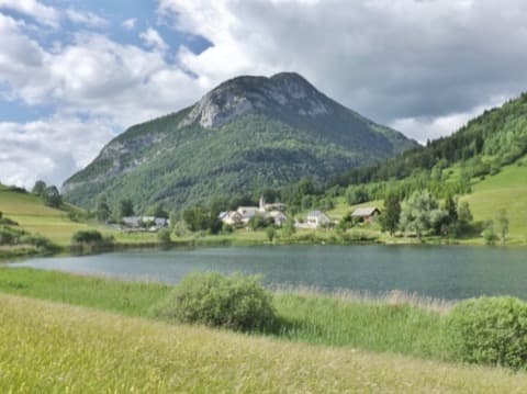 Élagueur La Thuile