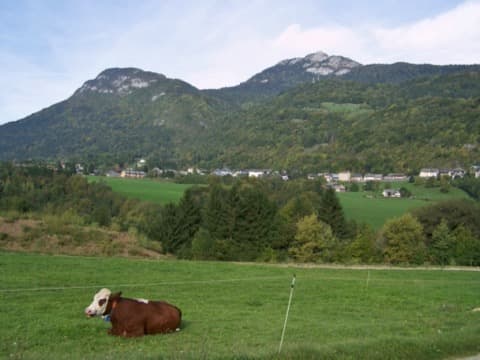 Élagueur Le Châtelard