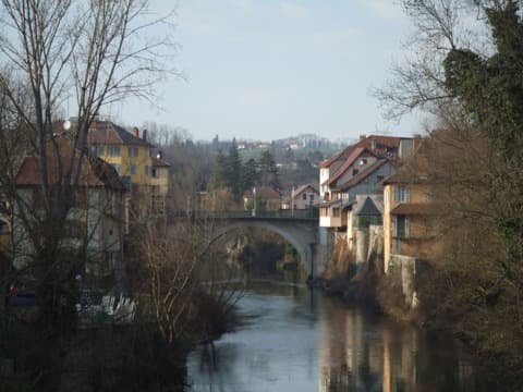 Élagueur Le Pont-de-Beauvoisin