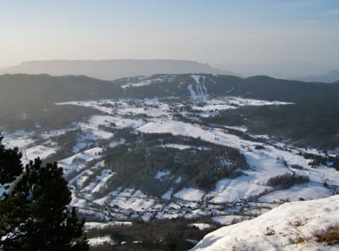 Élagueur Les Déserts