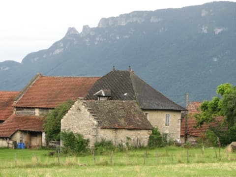 Élagueur Loisieux
