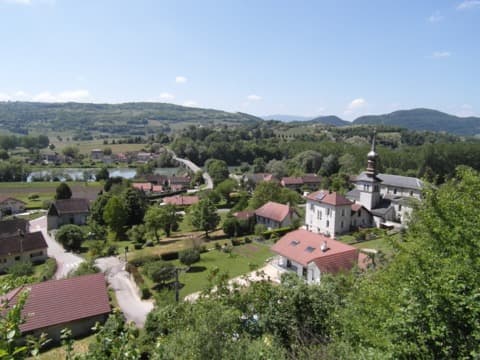 Élagueur Lucey