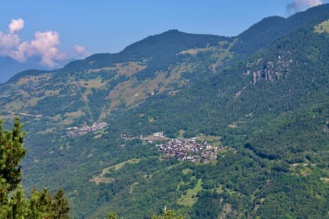 Élagueur Montagny