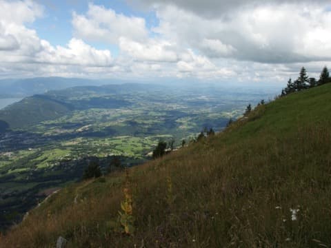 Élagueur Montcel