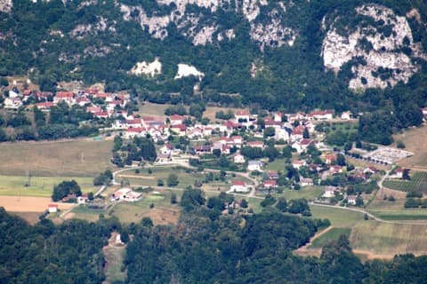 Élagueur Motz
