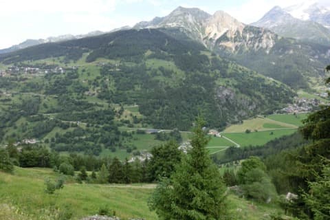 Élagueur Peisey-Nancroix