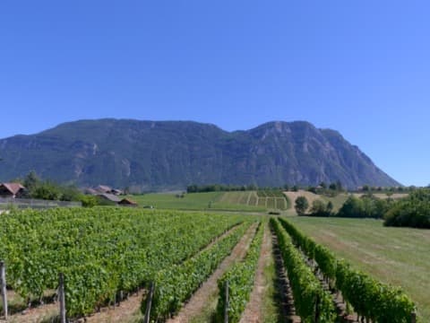 Élagueur Porte-de-Savoie