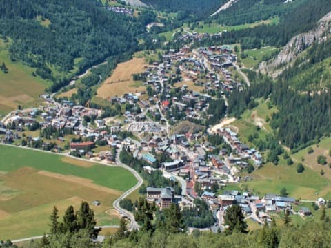 Élagueur Pralognan-la-Vanoise