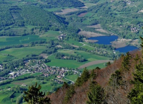 Élagueur Saint-Jean-de-Chevelu