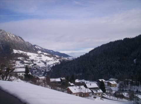 Élagueur Saint-Nicolas-la-Chapelle