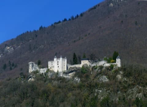 Élagueur Saint-Pierre-d'Albigny