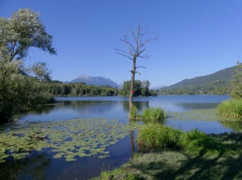 Élagueur Sainte-Hélène-du-Lac