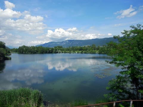 Élagueur Serrières-en-Chautagne