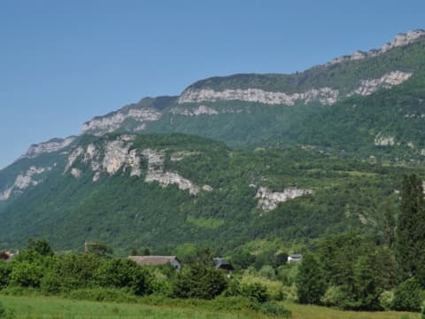 Élagueur Verel-Pragondran