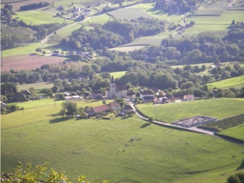 Élagueur Verel-de-Montbel
