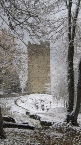 Élagueur Villard-Sallet
