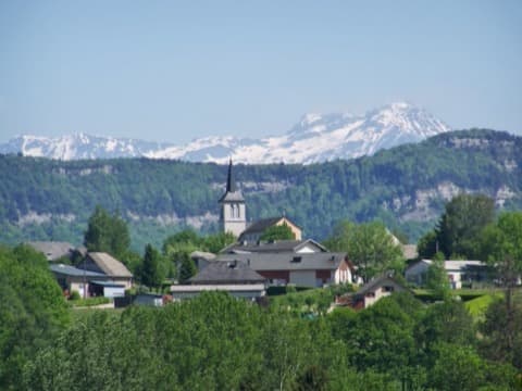 Élagueur Vimines