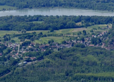 Élagueur Vions