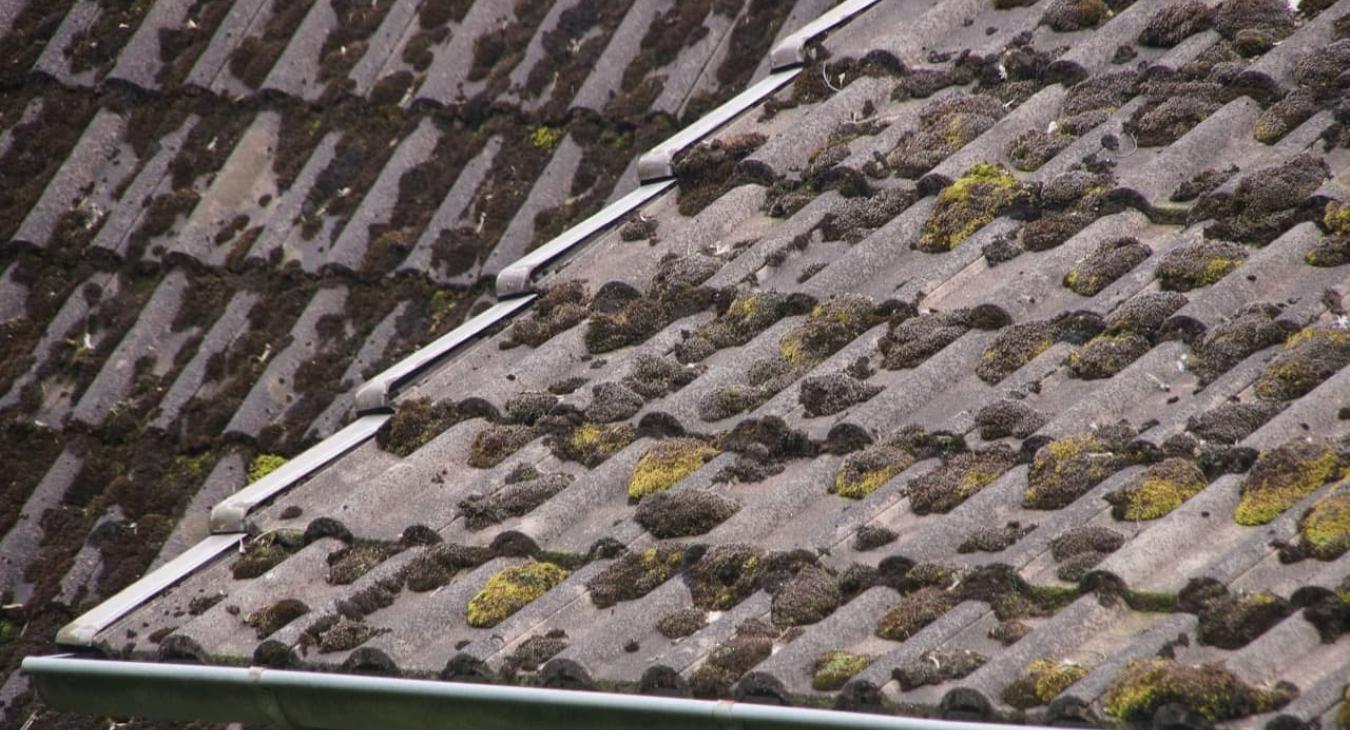 Nettoyage de toiture et gouttières, Peinture & Hydrofugation de toiture 73 Savoie