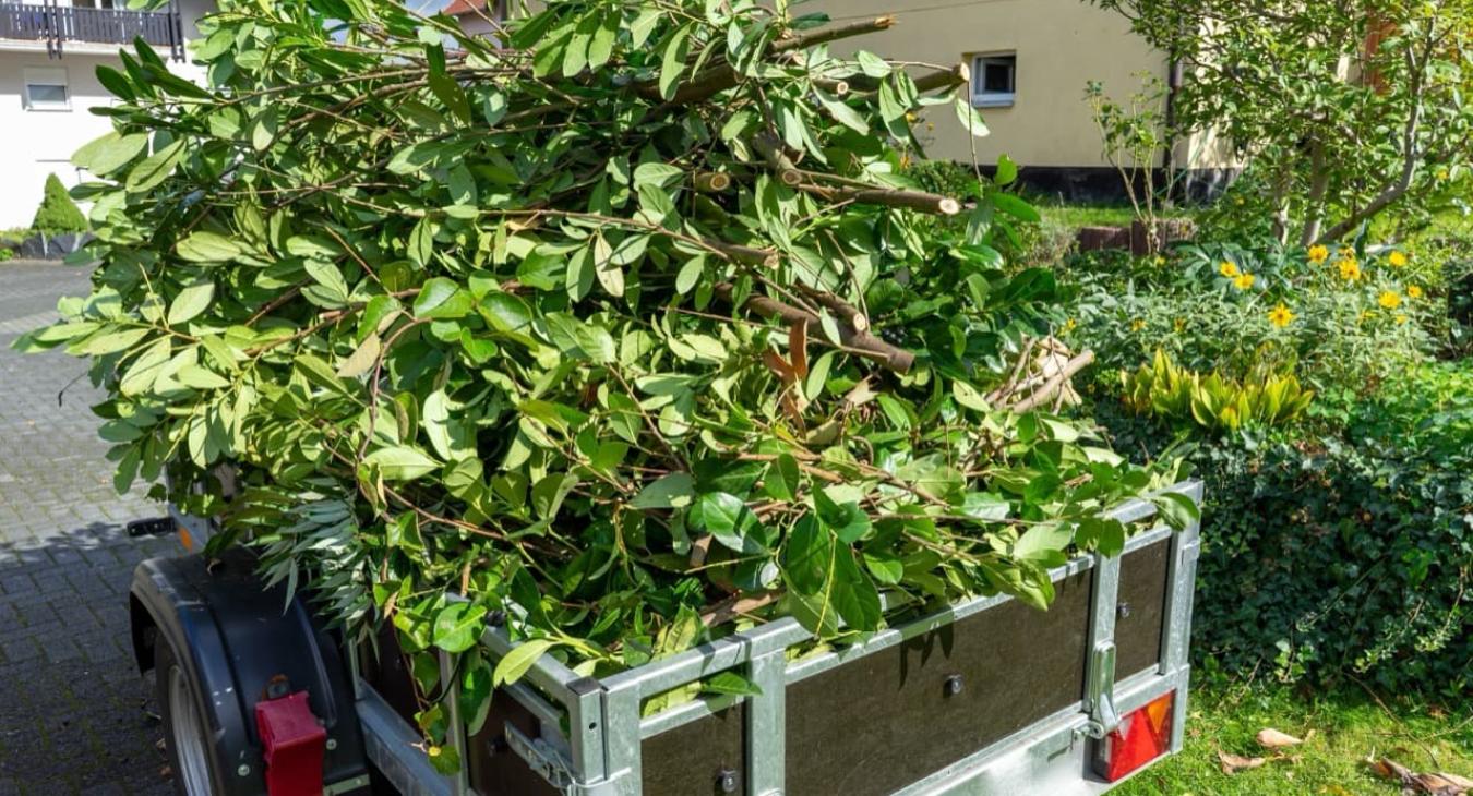 Broyage de branches & Gestion des déchets verts 73 Savoie