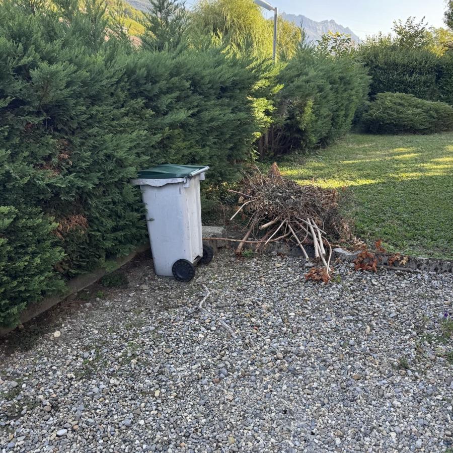 Abattage de haie Arbin
